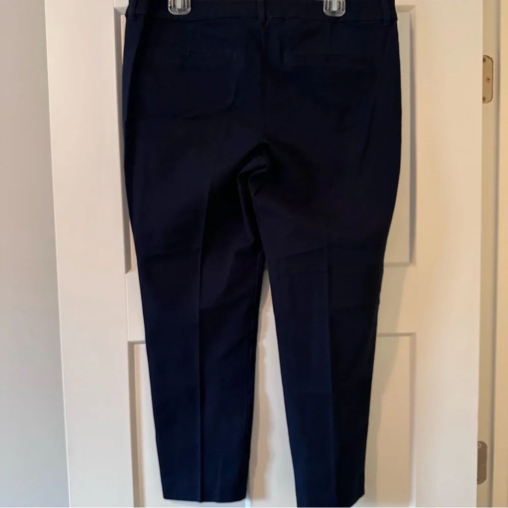 Old Navy Pixie Mid-Rise Ankle Pants Goodnight Nora Blue Size 14 - Picture 3 of 8